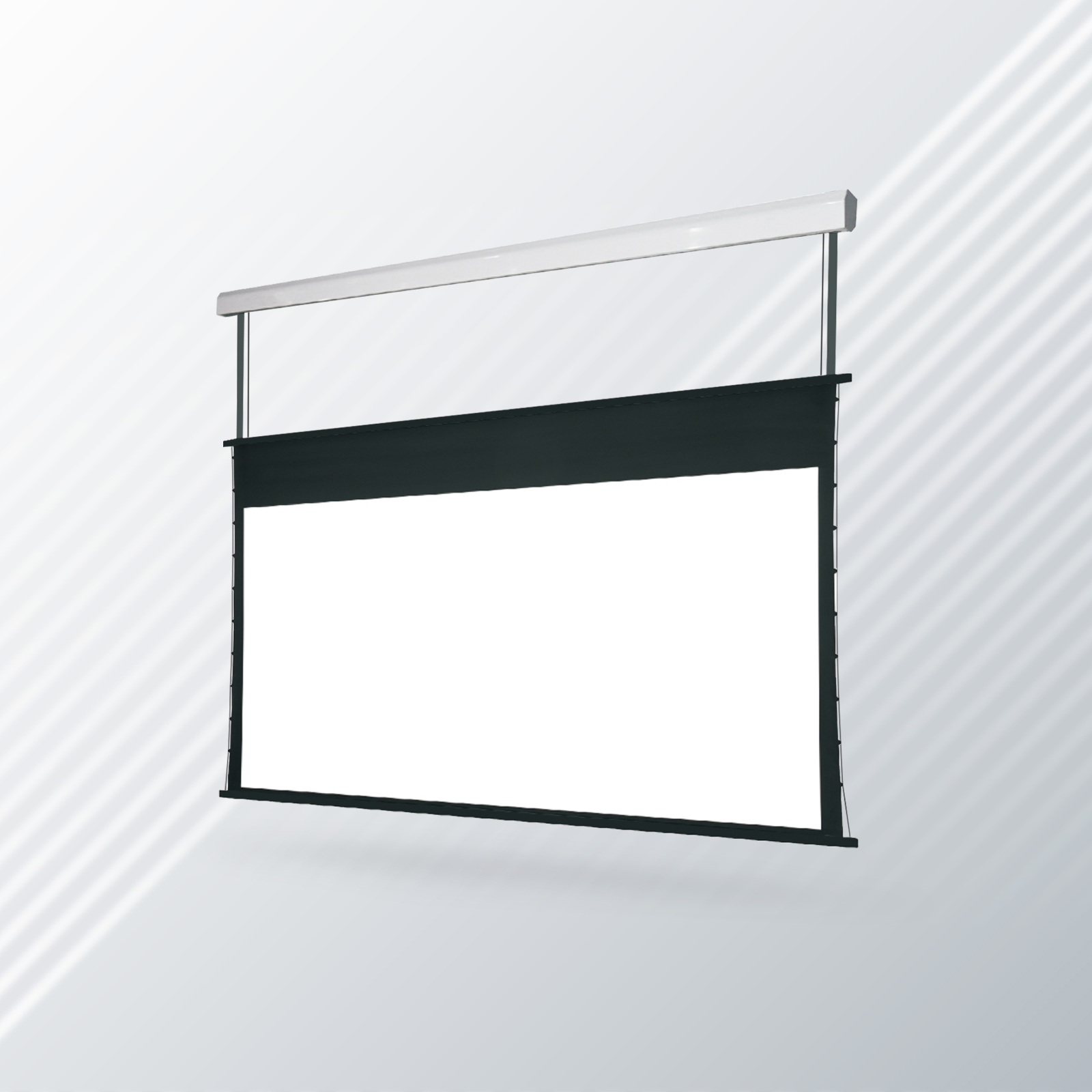 Professional-Projector-Screen